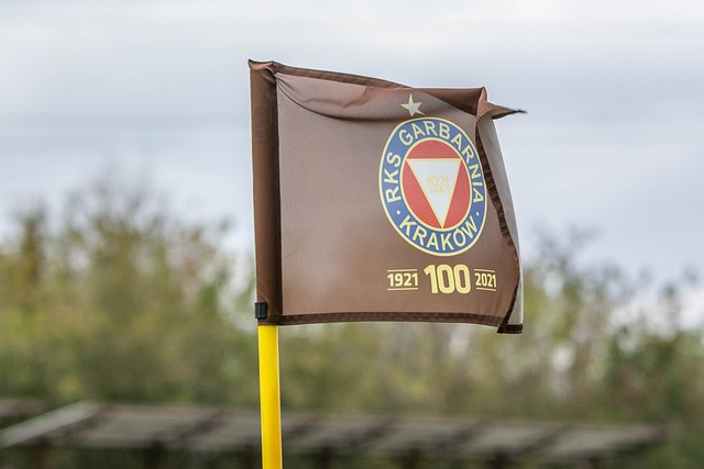 沃恩可能会 沃恩可能会