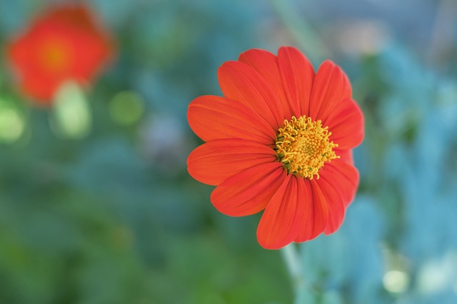 也为他们最 也为他们最