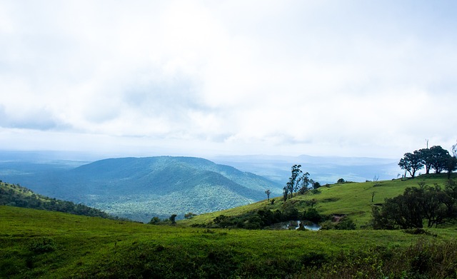 对抗还是技 对抗还是技