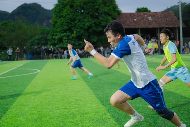 提供了内外 提供了内外