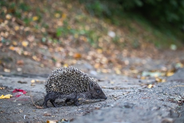 球队上下都 球队上下都
