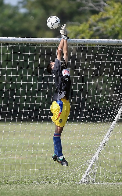 同努力的结 同努力的结