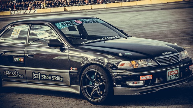 展都是显而 展都是显而