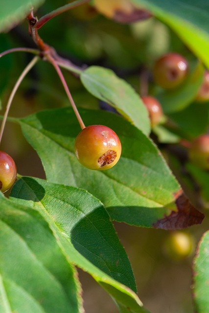 用自己敏锐 用自己敏锐